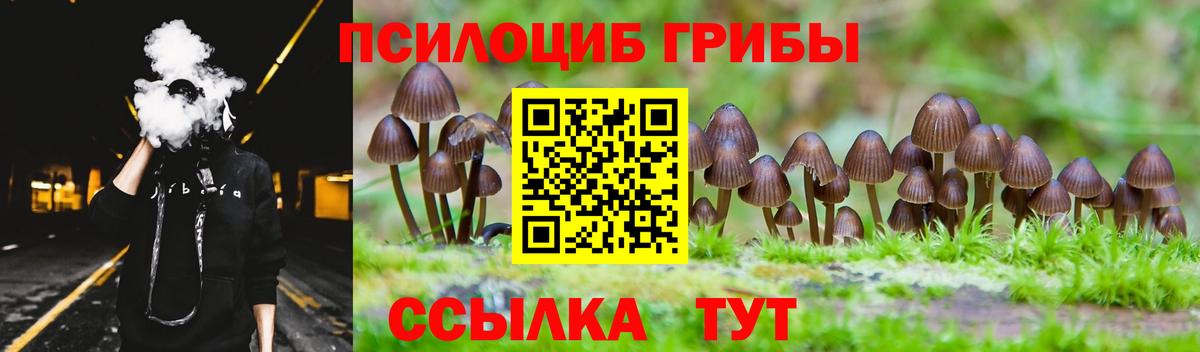 Псилоцибиновые грибы прущие грибы  Галлюциногенные грибы GOLDEN TEACHER  Вязьма  Вход с VPN 